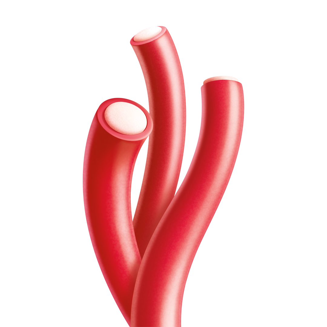 JOYRIDE CHERRY BERRY ROPES