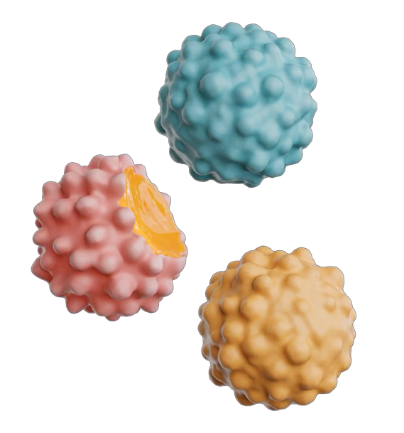 JOYRIDE GUMMY BUSTERS