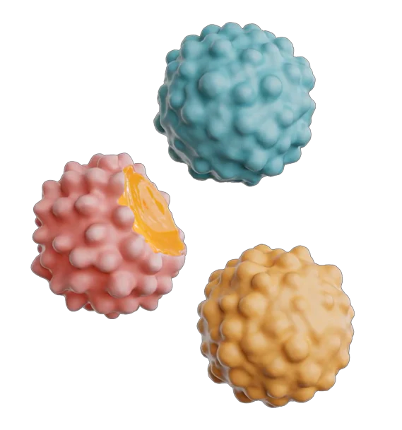 JOYRIDE GUMMY BUSTERS