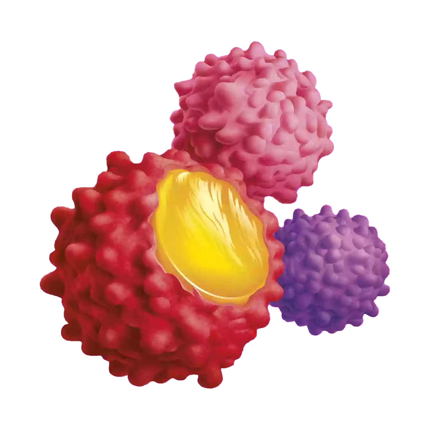 JOYRIDE BERRY GUMMY BUSTERS