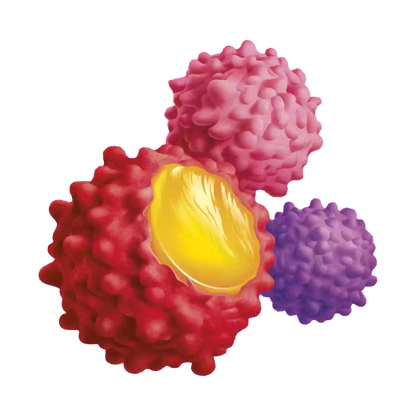 JOYRIDE BERRY GUMMY BUSTERS